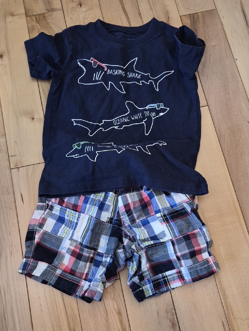 Boys Size 4 Andy & Evan Navy Graphic Tee and Gymboree Shorts